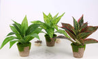 CATTREE Fake Plants Artificial Plant Outdoor Shrubs Faux Grass Plastic Leaves Greenery Bushes Home Garden Wedding Party Decorations Indoor Office Yard UV Resistant Planter Filler Red 2 Pack