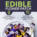 Wildflower Seeds Edible Flowers Mix - 1 Ounce Over 7,000 Open Pollinated Annual and Perennial Seeds