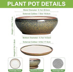 SQOWL Succulent Pots - 8 Inch Ceramic Bonsai Pots, Round Shallow Planter with Drainage Hole and Saucer, Succulent Indoor Planter, Bowl Planters Outdoor, Apartment Decor, Gifts for Women, Brown