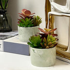 Artificial Plants Cute Colourful Succulents in Ceramic Planter Fake Plant Flowers Potted for Home Living Room Office Desk Decor Bathroom Bedroom Indoor Decoration