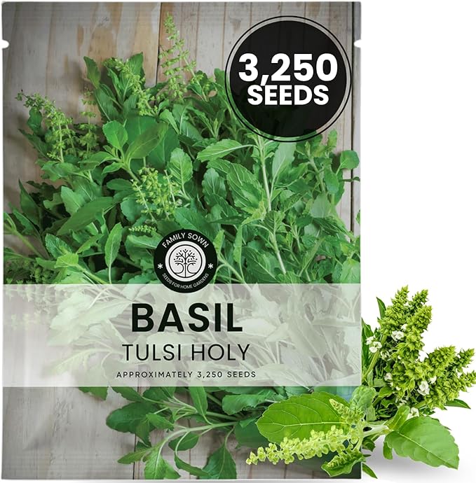 Tulsi Holy Basil – 3,250 Premium Seeds for Planting – Aromatic, Sacred, Vigorous Growth for the 2026 Season – 1 Gram Pouch