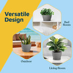 Gray 6-Inch Plant Pots with Drainage & Saucers 6 Pack, Indoor & Outdoor Planters for Houseplants, Herbs, and Flowers, Durable & Weatherproof Material, Stackable, Lightweight, Minimalist Design
