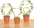 Hoya Trellis 3 Size Indoor Plants Flower Support Stakes Round or Heart Metal Trellis Set Garden Tool Accessories for Small Potted Vine Climbing Houseplants (GoldenCH)