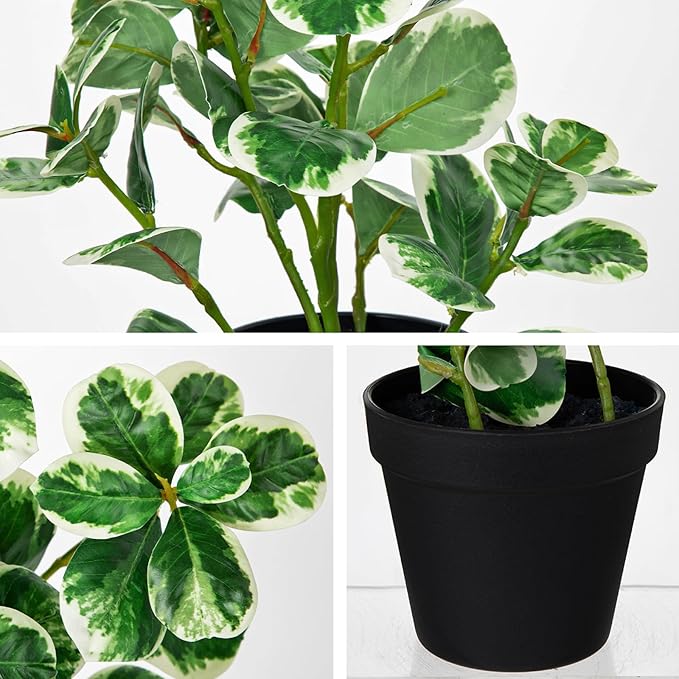 17" Artificial Rubber Plant in Black Pot, Faux Ficus Plant Potted with Cream White Edge Foliages, Fake Greenery Plant for Home Office Tropical Decor