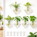 Yungyan 6 Pack Glass Wall Vase Plant Propagation Wall Hanging with Nail Hooks Diamond Propagation Station Flower Vase Glass Terrariums Plant Hanger for Home Office Bathroom Living Room Decor