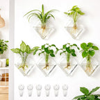 Yungyan 6 Pack Glass Wall Vase Plant Propagation Wall Hanging with Nail Hooks Diamond Propagation Station Flower Vase Glass Terrariums Plant Hanger for Home Office Bathroom Living Room Decor