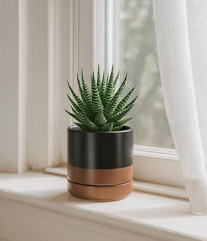 D'vine Dev 4.7 Inch Ceramic Planter Pot with Drainage Hole and Saucer, Indoor Cylinder Round Planter Pot, Black/Speckled Tan, 94-O-B-7
