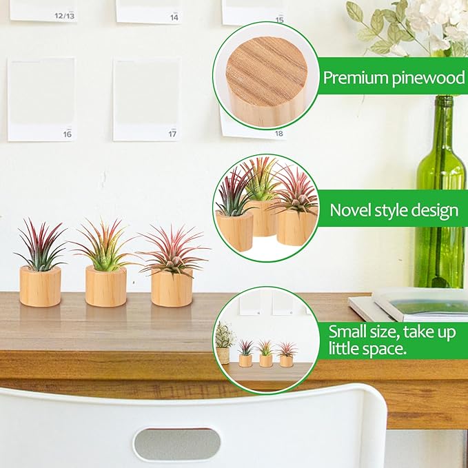 Bigmeta 3 Pcs Wood Air Plant Holder, 1.4" Rustic Style Airplant Display Stands for Women Gifts