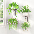LASZOLA Plant Hangers Shelves Wall Mounted Indoor, Metal Window Plant Holders, 2Pcs Modern Floating Flower Display Stand with 2 Hooks for Outdoor Kitchen Bathroom Decor, Bronze
