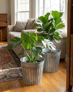 vensovo 12 Inches Silver Metal Rustic Plant Pots - 3 Pcs Large Galvanized Planters with Drain Hole and Rubber Plug, Rustproof Tin Bucket Flowerpot for Indoor Plants Farmhouse Vintage Style for Decor