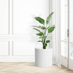 WSMKSZ 12 Inch Large Deep Flower Pots for Outdoor Indoor Plants, Cylinder Tall Plant Pots with Drainage Holes and Saucer, Big Decorative Plastic Planter Pots for Garden House Plants, White