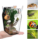 Acrylic Jumping Spider Enclosure，3mm Clear Coffin Terrarium with Magnetic Door & Feeding Hole, Secure Habitat for Jumping Spiders, Mantis, Small Tarantulas