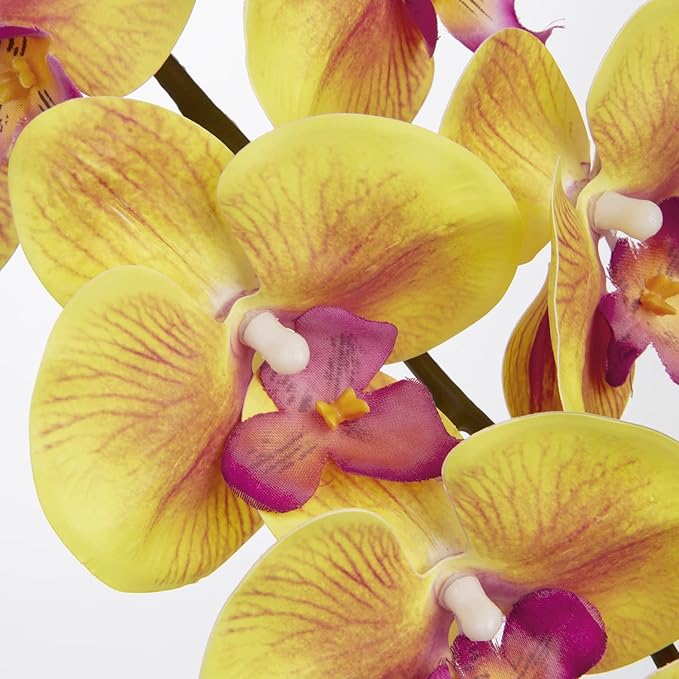 DILATATA Artificial Orchid Flowers 9 Large Heads of Real Touch Vivid Phalaenopsis Orchid Flower Stem 36'' Tall, Artificial Flowers Branches for Home Decor, Office House Decor-Yellow Orchids Flowers