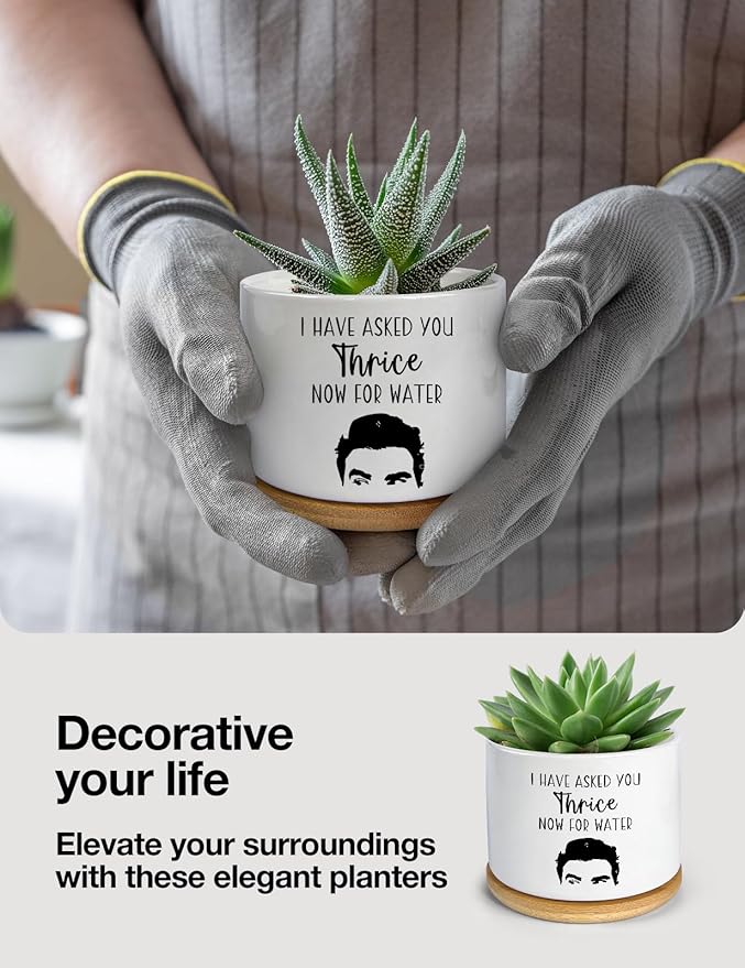 I Have Asked You Thrice Now for Water Ceramic Succulent Planter Pot, Funny Plants Pots Schitts Merchandise Gifts, for Women Mom Grandma Plant Lovers Gifts - 3.5 inch(Plant Not Included)