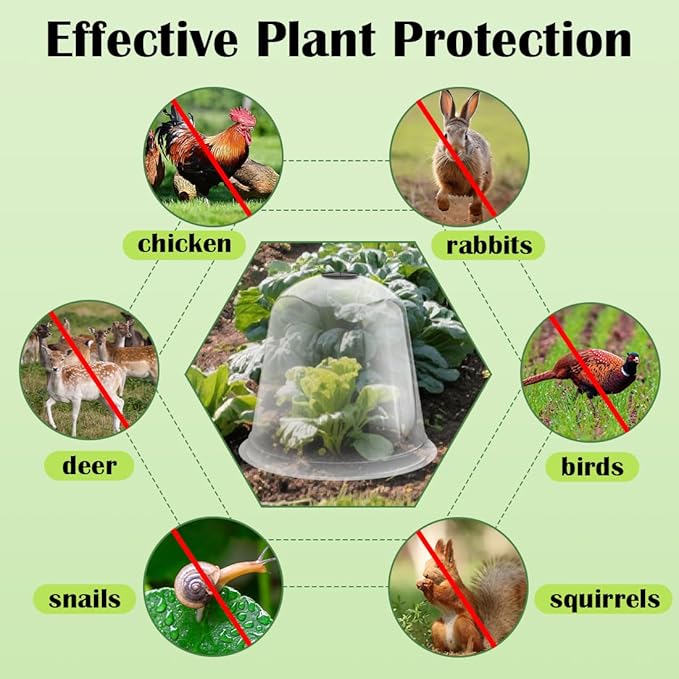 RooTrimmer 13 Inch Humidity Domes Garden Cloches for Plant Protection, Protectors from Animals, Garden Clear Plant Cover with Ventilation Holes 5 Pack