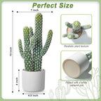 Artificial Cactus Plants - Potted Succulents in Ceramic, Faux Cacti and Succulent Decor for Home, Office Desk，Living Room-1pack