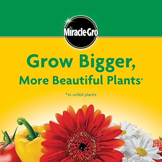 Miracle-Gro Water Soluble All Purpose Plant Food - Fertilizer For All Indoor or Outdoor Plants including Roses, Flowers, Vegetables, Houseplants, Trees, and Shrubs, 3 lbs.