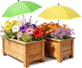 Tryly Plant Umbrellas for Outdoor Plants, Garden Umbrella Shade for Potted Plants and Garden Beds, Provide Shade to ‌Defend Plants From Blazing Sun