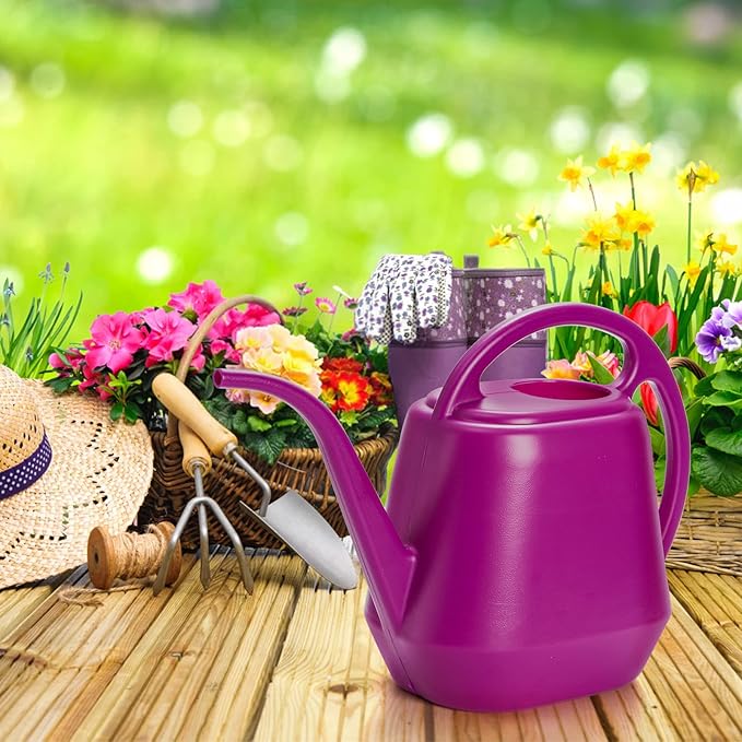Fasmov Plastic Watering Can, Rose Red, 1-Gallon