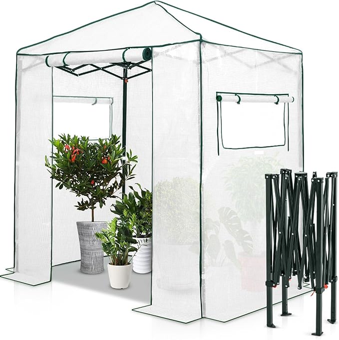 EAGLE PEAK 6x4 Portable Walk in Greenhouse, Pop Up Indoor Outdoor Greenhouse, Green House Kit with Zippered Roll-Up Doors and Windows, PE Cover, Clear/White