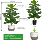 BESAMENATURE Artificial Fiddle Leaf Fig Tree/Faux Ficus Lyrata for Home Office Decoration, 30.5" Tall, with Cotton Rope Basket