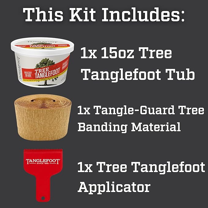 Tanglefoot Tree Care Kit – Sticky Tree Wrap & Applicator | Non-Toxic Outdoor Barrier for Crawling Insects | Includes 15oz Tree Tanglefoot, 3" x50' Tree Wrap & Applicator Tool