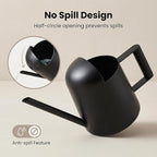 IMEEA Mini Watering Can for Indoor Plants Stainless Steel Small Watering Can 11oz/300ml