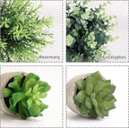 CEWOR 4 Pack Small Fake Plants Eucalyptus Rosemary Succulents Plants Artificial in Pots for Shelf Artificial Greenery Eucalyptus Plant Indoor for Home Bedroom Living Room Decoration