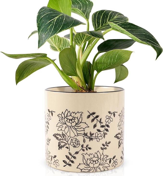 STHIE Indoor Ceramic Plant Pots with Drainage Holes 5 Inch Cute Succulent Flower Pots Small Orchid Planter Pots for Indoor Plants Garden Pots, Peony