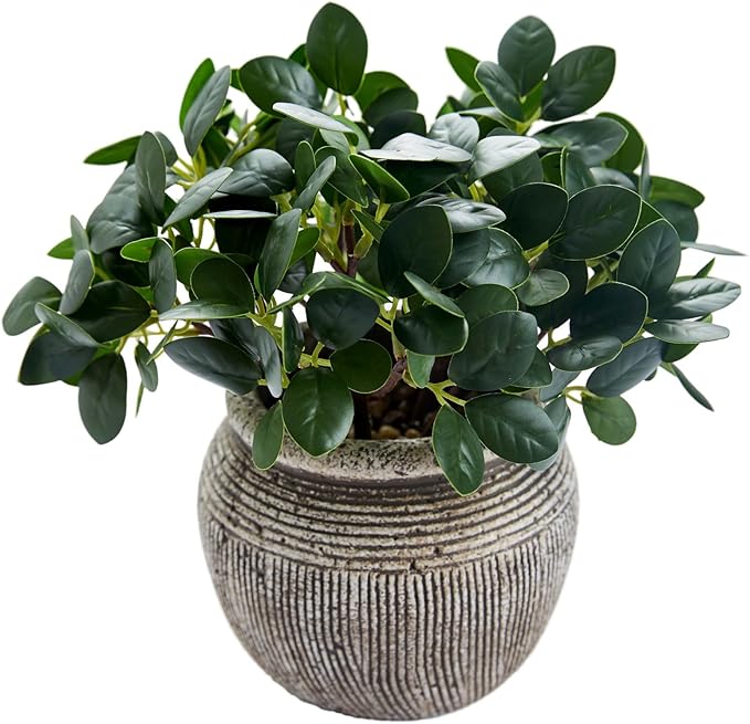 AlphaAcc 8.3'' Artificial Ficus Plant Potted Real Looking Faux Plant Fiddle Leaf Fig in Vintage Textured Cement Planter with Pebbles Compact Fake Plant for Home Office Desk Indoor Decor
