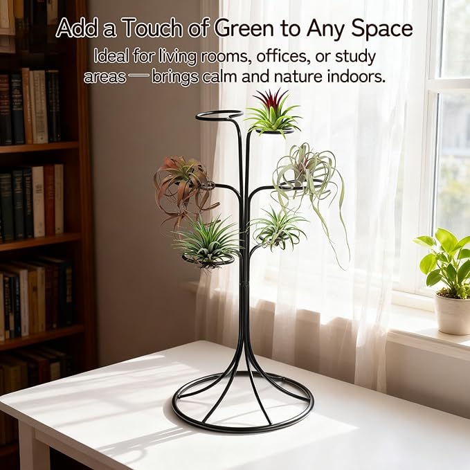 Air Plant Holder Iron Tree Stand Metal Air Plant Display with 6 Rings, Round Base Tillandsia Holder for Home Office Tabletop Decoration (Plants Not Included)