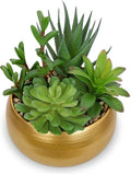 Hollyone Fake Plants Artificial Succulents in Pots Faux Succulent Arrangement Potted Plant with Gold Ceramic Planter Bowl for Home Decor Office Desk Bathroom Shelf Living Room Indoor Decorations