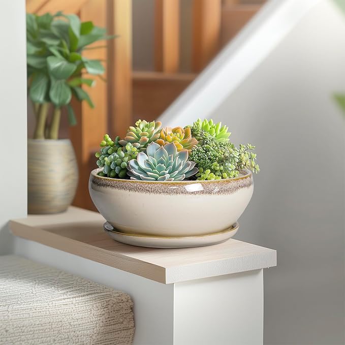 SQOWL Succulent Pots 8 Inch - Ceramic Bonsai Pots for Indoor Plants, Round Shallow Plant Pot with Drainage Hole and Saucer, Bowl Planter Outdoor, Patio Decor, Plant Lover Gifts, Beige