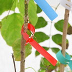500 Pcs Wrap Around Adjustable Plant Tree Hanging Tags, Plastic Nursery Garden Waterproof Labels, Large Writing Surface (20x2cm, 5 Colors)