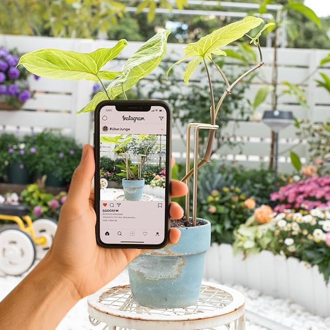 8.7 Inch Indoor Plant Trellis -10 Pack Small Gold Plant Supports for Outdoor Plants, Monstera Trellis Stakes & Stem Holders, Durable Iron Garden Flower Support for Young Plant Growth