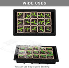 Aodaer 247 Pack Seed Starter Kit Including Peat Pots for Seedlings Seed Starter Tray with Plant Labels, Tool, Plastic Growing Trays Germination Tray Paper Seedling Cups for Indoor Outdoor Garden
