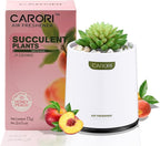Artificial Succulent Plants with Subtle Peach Scent, Faux Indoor Plants for Home Decor, Small Fake Plant for Bathroom, Bedroom, Office Decor, Aesthetic Room Accessories, Housewarming Gift