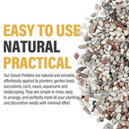 2.4lb Succulent and Cactus Gravel Pebbles, 1/5 Inch Mixed Color Natural Rocks for Fish Tank, Indoor Plants, Aquarium, Vases, Landscaping