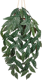 Large Fake Hanging Plants in Pot with Hook, 37" Artificial Hanging Begonia Vines Plants, Fake Potted Tropical Plants for Room Wall Living Room Bathroom Kitchen, Big Faux Ivy Houseplants for Shelf