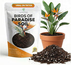 Professional Bird of Paradise Soil Potting Mix 2.2 Quarts Ready to Use, Premium Indoor Plant Soil for Birds of Paradise Plants, Peat Moss Coco Coir Perlite Dolomite, Made in USA