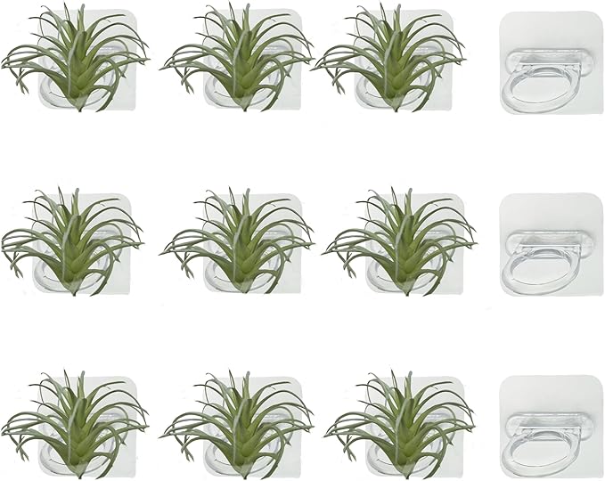 Aogigigio Air Plant Holder - 12 Pcs Acrylic Air Plants Hanger Wall Holders for Live Tropical Plant Home Office Decoration Supplies, Plants Not Included