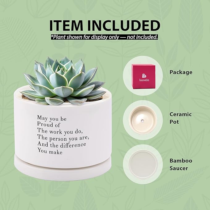 May You Be Proud of The Work You Do Inspirational Gift Ceramic Succulent Plant Pot with Tray Coworker Leaving Motivational Gifts Home Decor Plant Lover 3.5 Inch White (No Plants) (with Ceramic Tray)