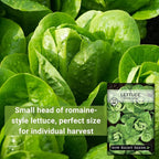 Sow Right Seeds - Little Gem Lettuce Seeds for Planting - Non-GMO Heirloom Packet with Instructions to Plant a Home Vegetable Garden - Outdoors or Indoors Hydroponics - Miniature Romaine Variety (4)
