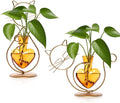 Plant Terrarium Plants Propagation Station Cat Lover Gifts for Women Home Office Decor Cat Desk Accessories