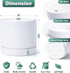 Phoenix Vine 8 Inch Planter Pot with Drainage Hole & Saucer, Deep Water Catch Tray, Straight Cylindrical Round Pot for Plants, Matte White, Pack of 2, 23-B-T-2