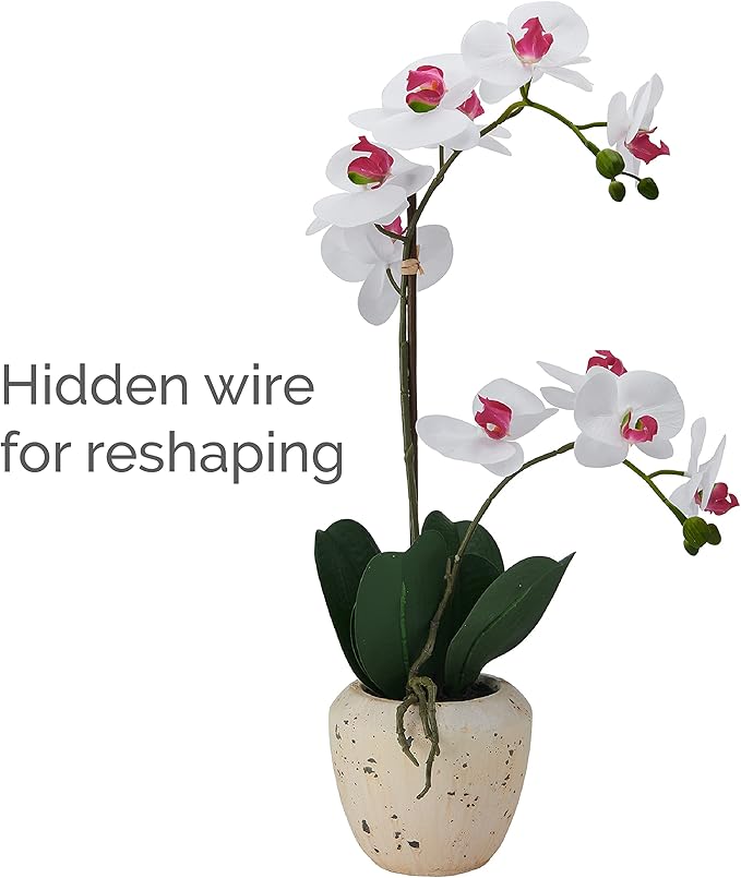 Mikasa Artificial Orchid in Pot, Real Touch Phalaenopsis Orchid, Faux Aged Cement Pot, 22-Inch Double Branch, White/Pink