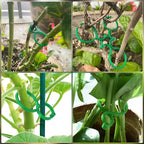 Hysagtek 120 Pcs Large Garden Plant Clips Tomato Clips Plant Locks Clips Vegetables Vine Flower Clips Tomato Ties for Securing Plants
