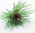 Mini Small Artificial Air Plants, Look Real Succulants Plant Faux Greenery Bromeliads for Garden Home Office Decoration (Green and Red)