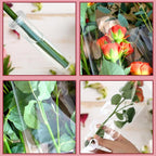 Bayurht 101 PCS Single Rose Sleeve Single with Ribbon and 50 Pcs Floral Water Tubes Flower Packaging Bags Single Flower Sleeve Flower Wrapping Bags for Bouquets Wrapping (White)