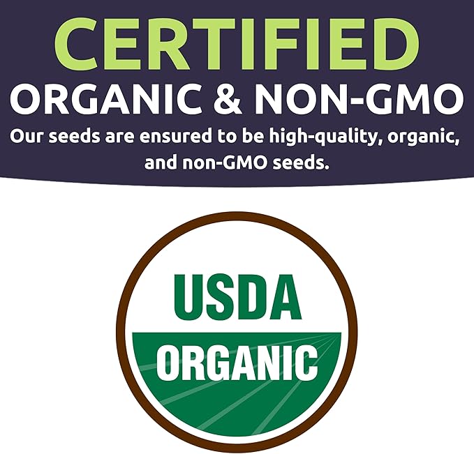 Catnip Seeds – Two Seed Packets! – Over 880 Open Pollinated Non-GMO Seeds – Sweet Yards Seed Co.